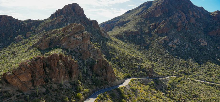Tucson | Arizona